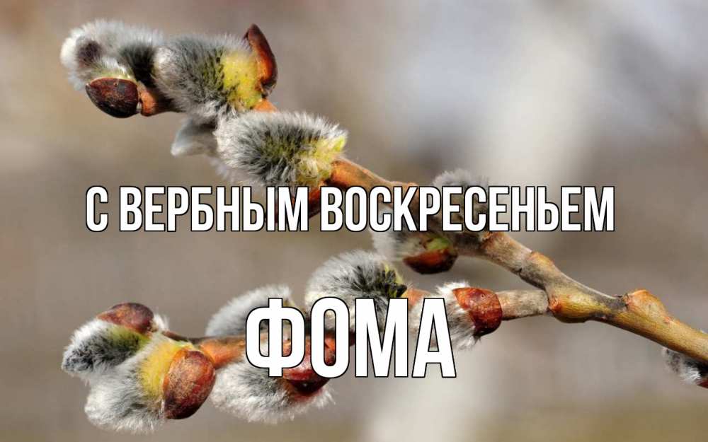 Открытка на каждый день с именем, Фома С вербным воскресеньем Верба Прикольная открытка с пожеланием онлайн скачать бесплатно 