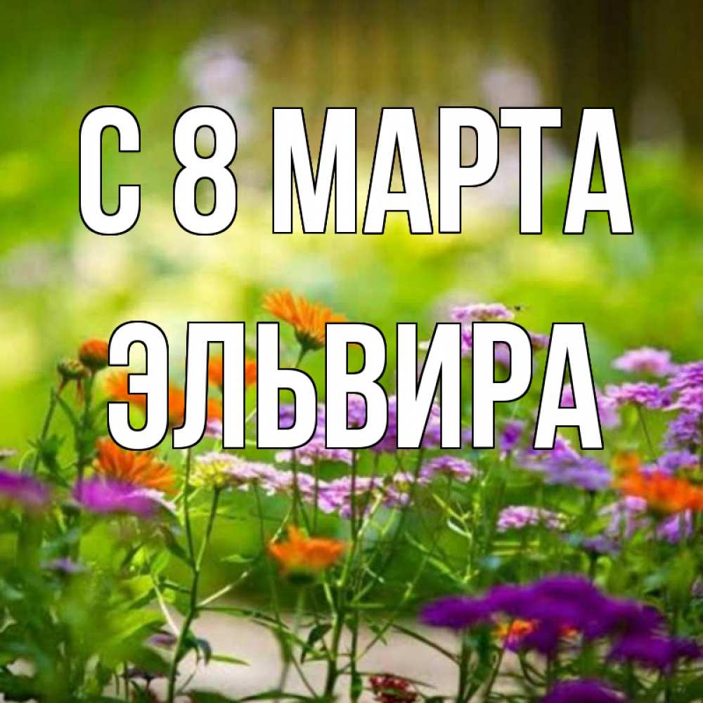 Открытка на каждый день с именем, Эльвира С 8 МАРТА цветы Прикольная открытка с пожеланием онлайн скачать бесплатно 
