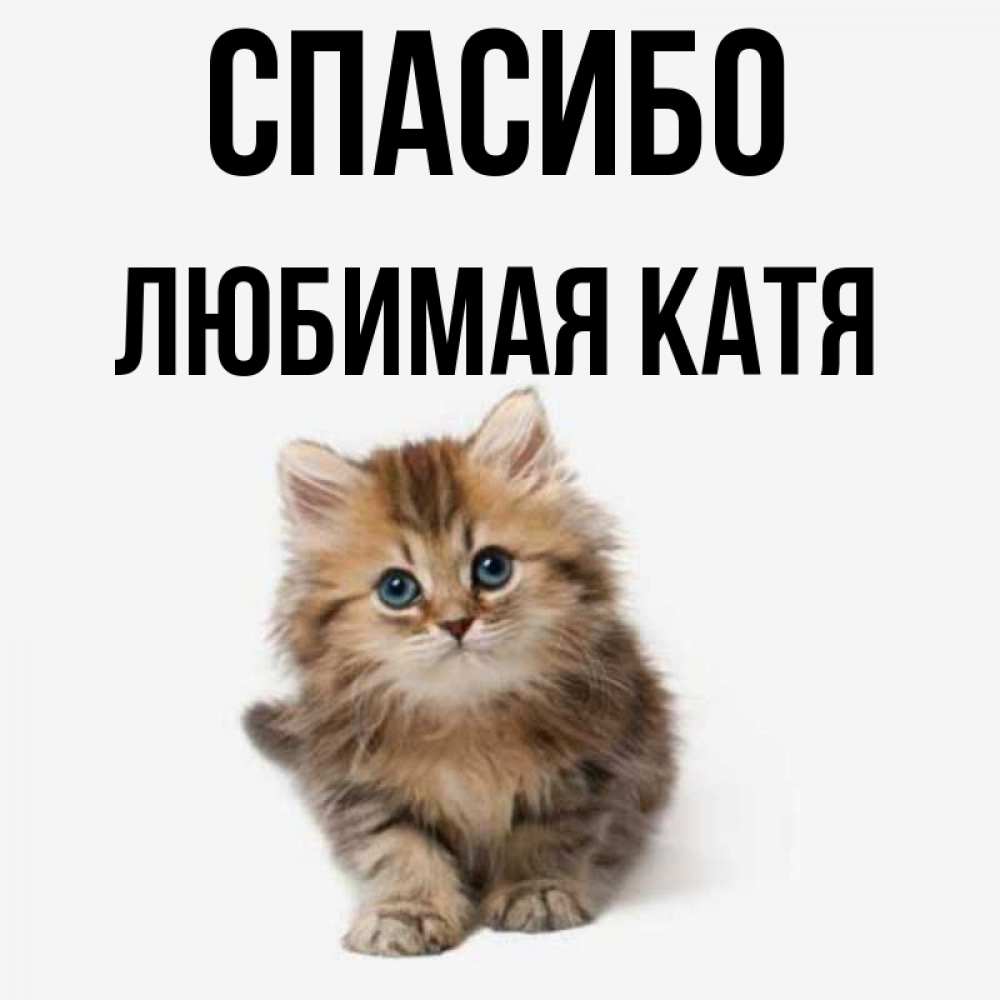 Хорошего дня катя картинки