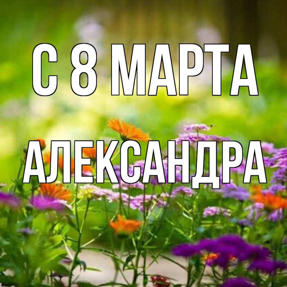 Открытка на каждый день с именем, Александра С 8 МАРТА цветы Прикольная открытка с пожеланием онлайн скачать бесплатно 