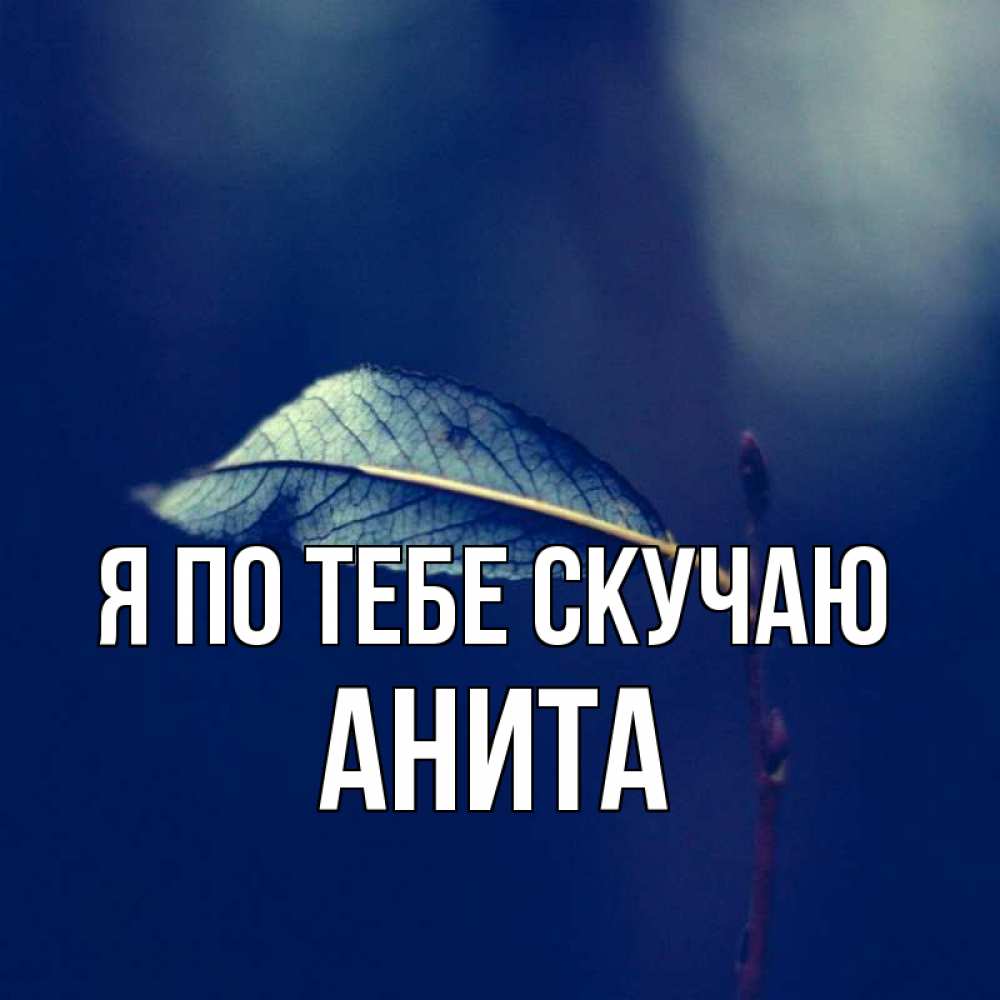 Открытка на каждый день с именем, Анита Я по тебе скучаю одна ветка 1 Прикольная открытка с пожеланием онлайн скачать бесплатно 