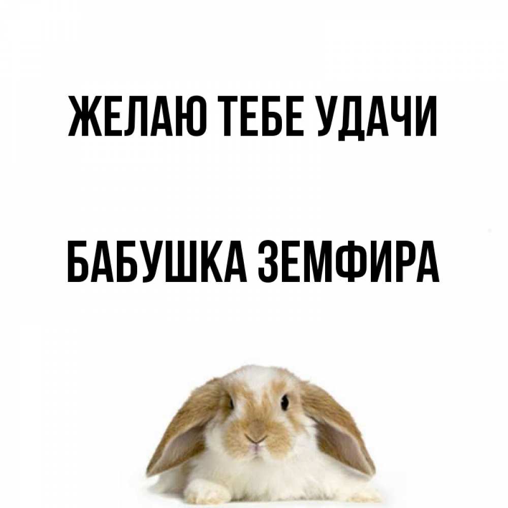 Открытка на каждый день с именем, Бабушка-Земфира Желаю тебе удачи открытки с произвольным текстом который можно вставить в открытку и создать ее самостоятельно бесплатно онлайн Прикольная открытка с пожеланием онлайн скачать бесплатно 