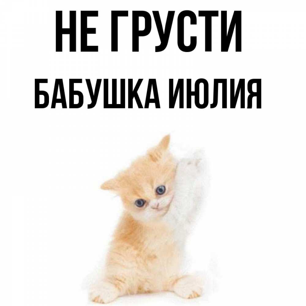 Открытка на каждый день с именем, Бабушка-Июлия Не грусти просящий кот Прикольная открытка с пожеланием онлайн скачать бесплатно 