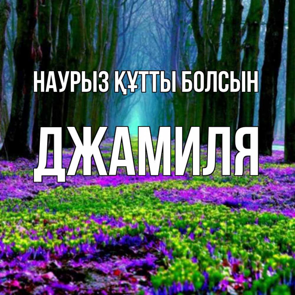 Открытка на каждый день с именем, Джамиля Наурыз құтты болсын фиолетовые цветы в лесу 1 Прикольная открытка с пожеланием онлайн скачать бесплатно 