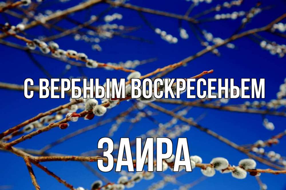 Открытка на каждый день с именем, Заира С вербным воскресеньем верба Прикольная открытка с пожеланием онлайн скачать бесплатно 
