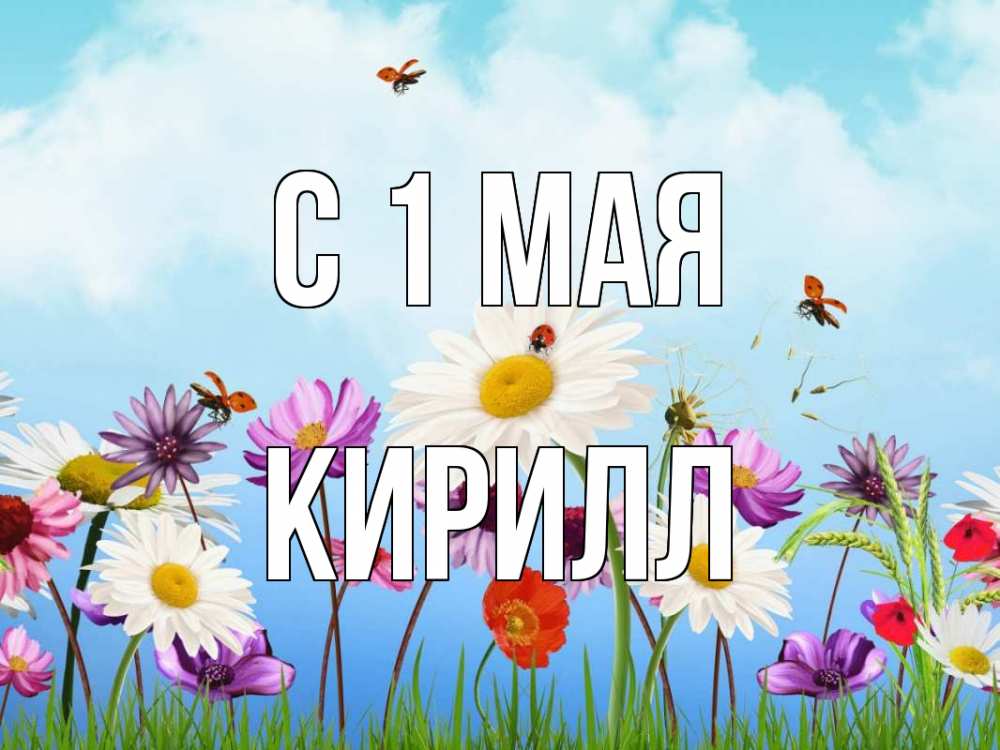 Открытка на каждый день с именем, Кирилл С 1 мая С 1 мая Прикольная открытка с пожеланием онлайн скачать бесплатно 