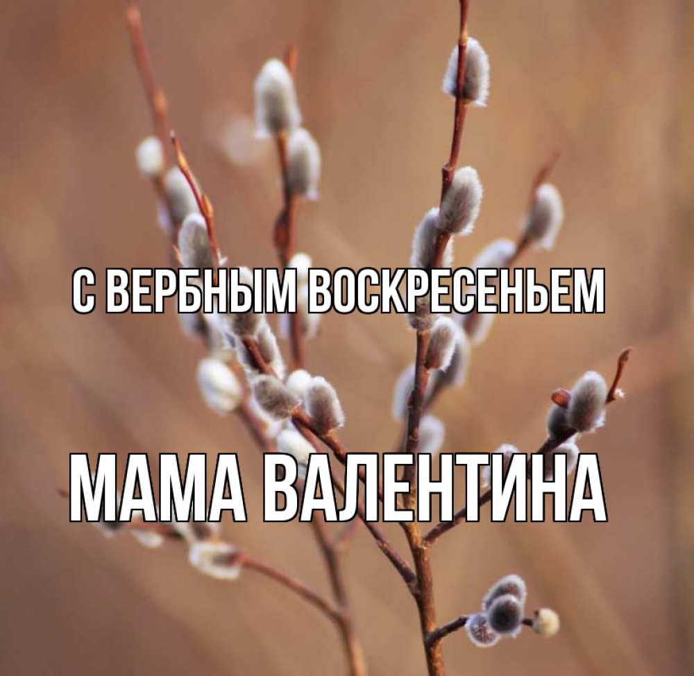 Открытка на каждый день с именем, Мама-Валентина С вербным воскресеньем верба Прикольная открытка с пожеланием онлайн скачать бесплатно 