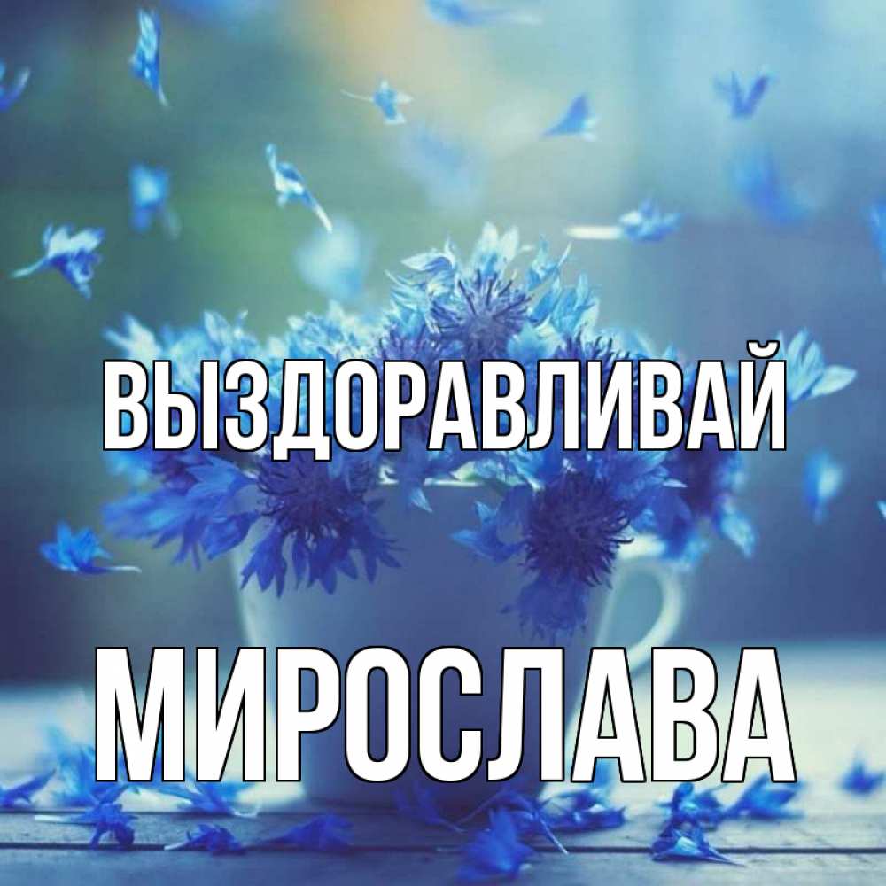 Открытка на каждый день с именем, Мирослава Выздоравливай кружка с зельем и цветами Прикольная открытка с пожеланием онлайн скачать бесплатно 