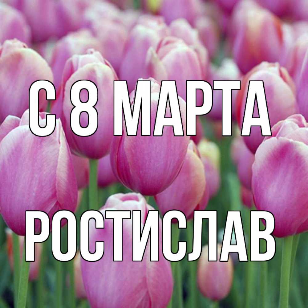 Открытка на каждый день с именем, Ростислав С 8 МАРТА на международный женский день 3 Прикольная открытка с пожеланием онлайн скачать бесплатно 