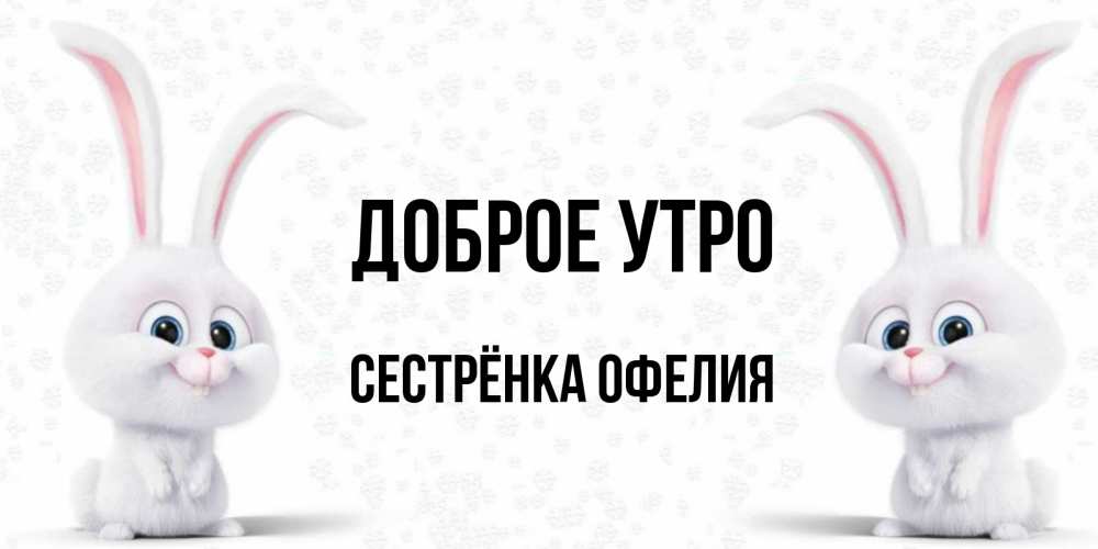 Открытка на каждый день с именем, Сестрёнка-Офелия Доброе утро кролики с длинными ушками Прикольная открытка с пожеланием онлайн скачать бесплатно 