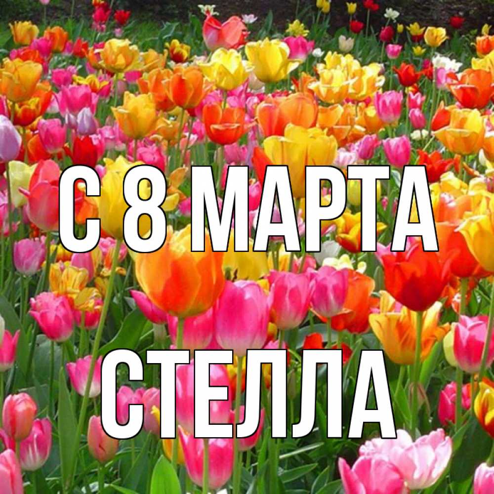 Открытка на каждый день с именем, Стелла С 8 МАРТА на международный женский день Прикольная открытка с пожеланием онлайн скачать бесплатно 
