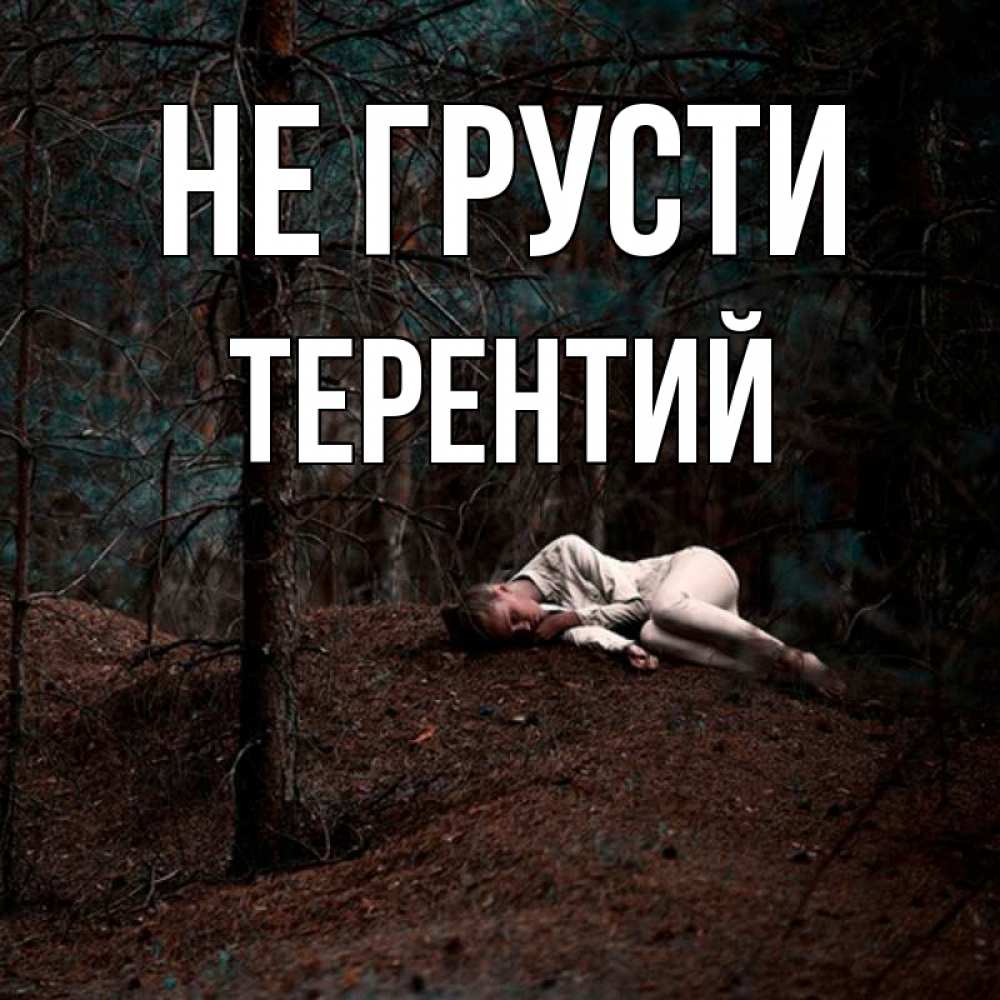 Открытка на каждый день с именем, Терентий Не грусти лес Прикольная открытка с пожеланием онлайн скачать бесплатно 