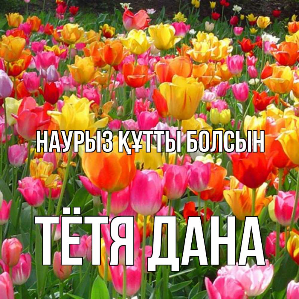 Открытка на каждый день с именем, Тётя-Дана Наурыз құтты болсын на наурыз  ура ура Прикольная открытка с пожеланием онлайн скачать бесплатно 