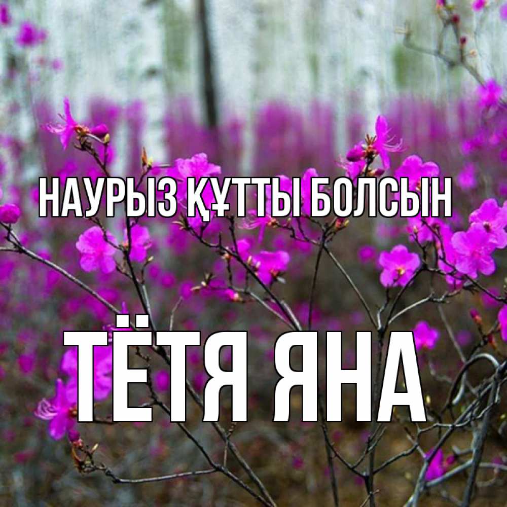 Открытка на каждый день с именем, Тётя-Яна Наурыз құтты болсын дикие цветы Прикольная открытка с пожеланием онлайн скачать бесплатно 