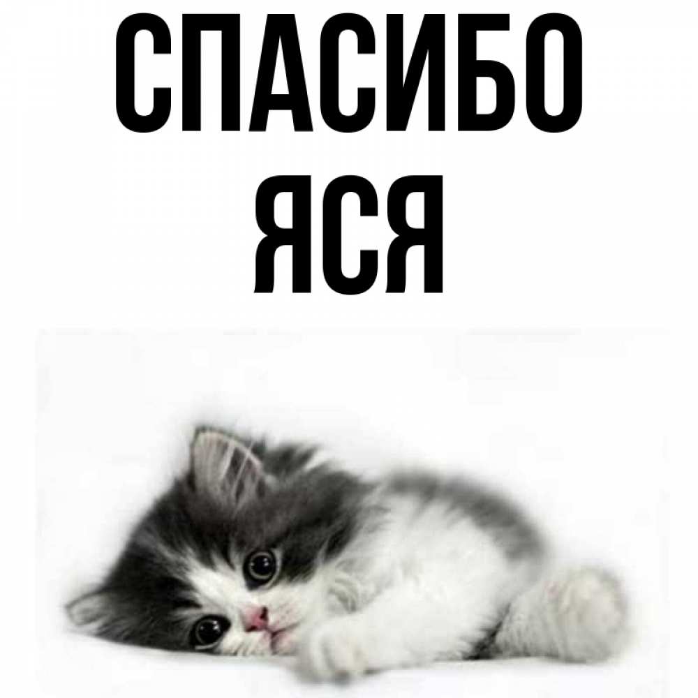 Имя яся