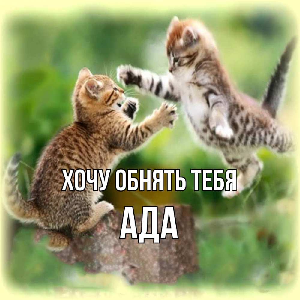 Открытка на каждый день с именем, Ада Хочу обнять тебя игры котят Прикольная открытка с пожеланием онлайн скачать бесплатно 
