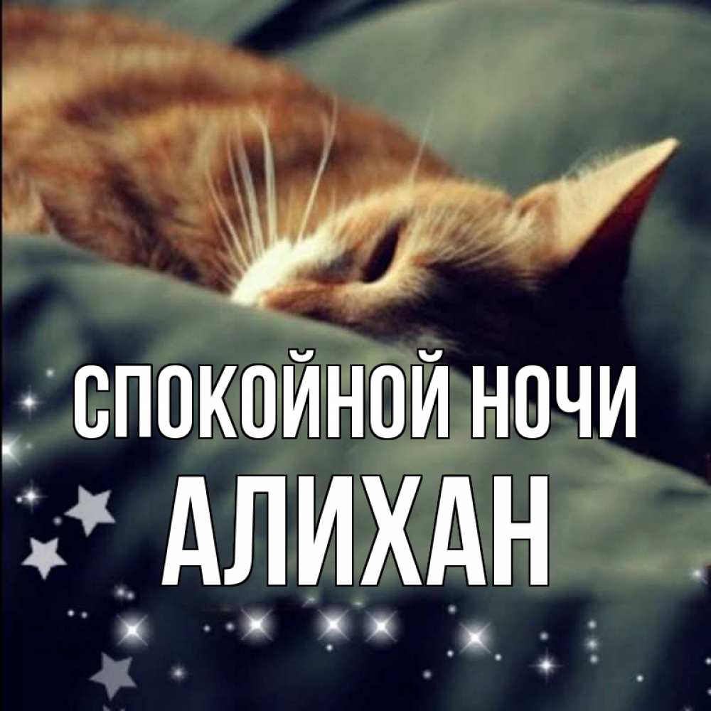 Открытка на каждый день с именем, Алихан Спокойной ночи кроватка Прикольная открытка с пожеланием онлайн скачать бесплатно 