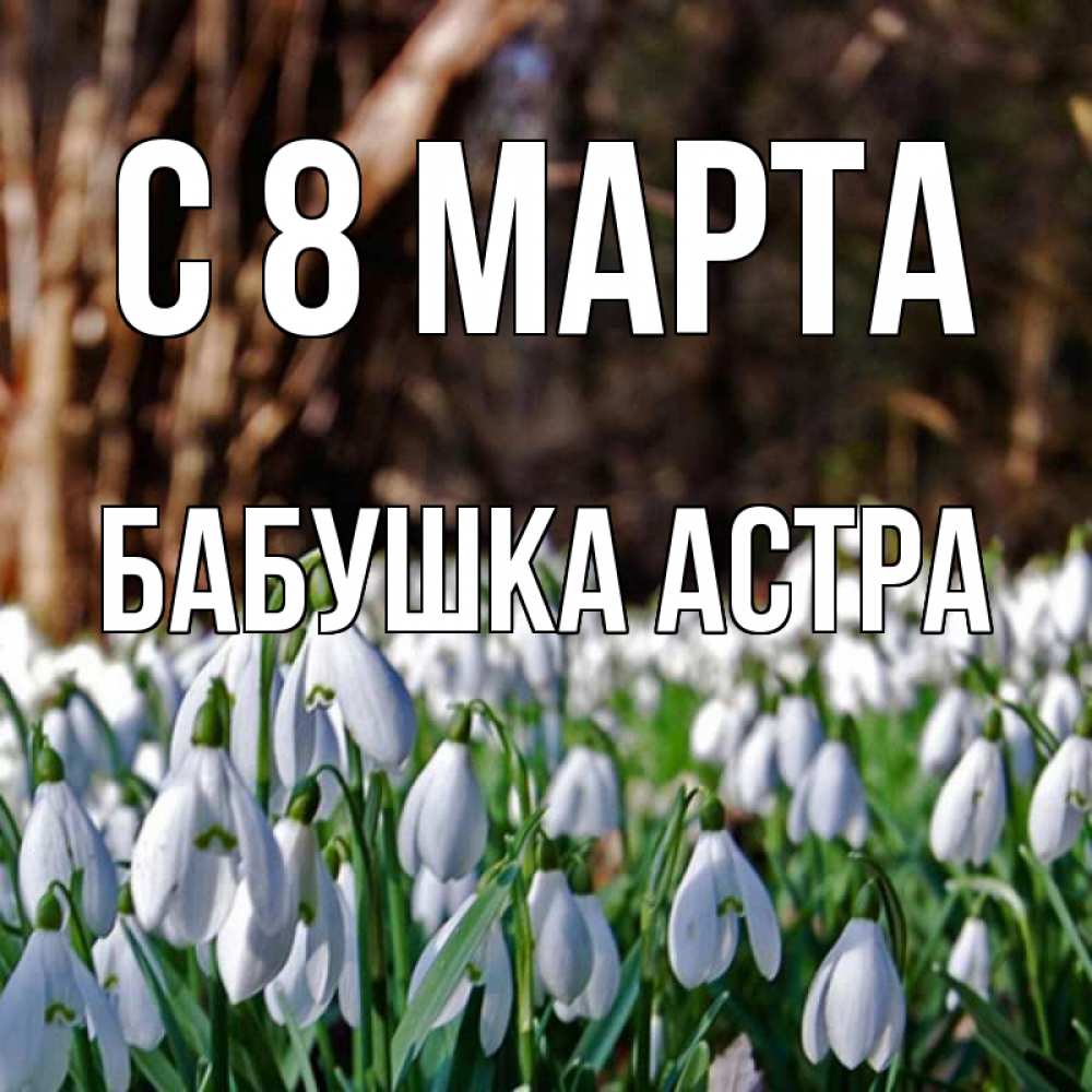 Открытка на каждый день с именем, Бабушка-Астра С 8 МАРТА с подснежниками 1 Прикольная открытка с пожеланием онлайн скачать бесплатно 