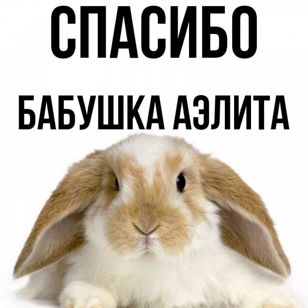 Открытка на каждый день с именем, Бабушка-Аэлита Спасибо коричнево белый заяц Прикольная открытка с пожеланием онлайн скачать бесплатно 