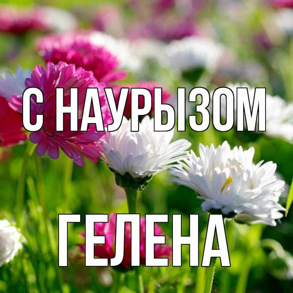Открытка на каждый день с именем, Гелена С наурызом праздник весны наурыз красота Прикольная открытка с пожеланием онлайн скачать бесплатно 
