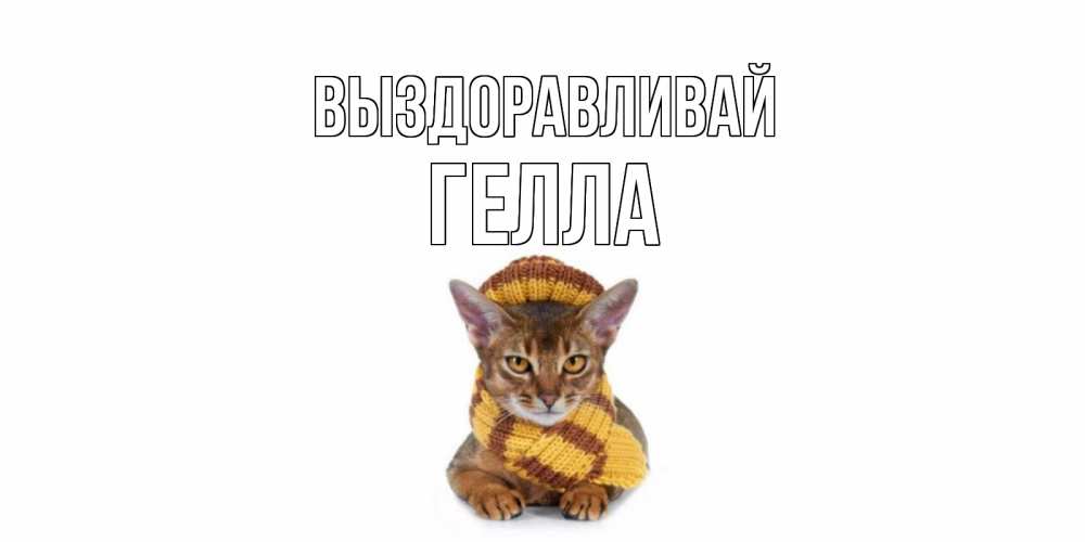 Открытка на каждый день с именем, Гелла Выздоравливай родные не болейте Прикольная открытка с пожеланием онлайн скачать бесплатно 