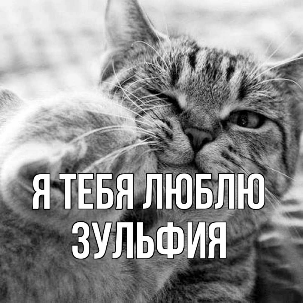 Открытка на каждый день с именем, Зульфия Я тебя люблю коты Прикольная открытка с пожеланием онлайн скачать бесплатно 