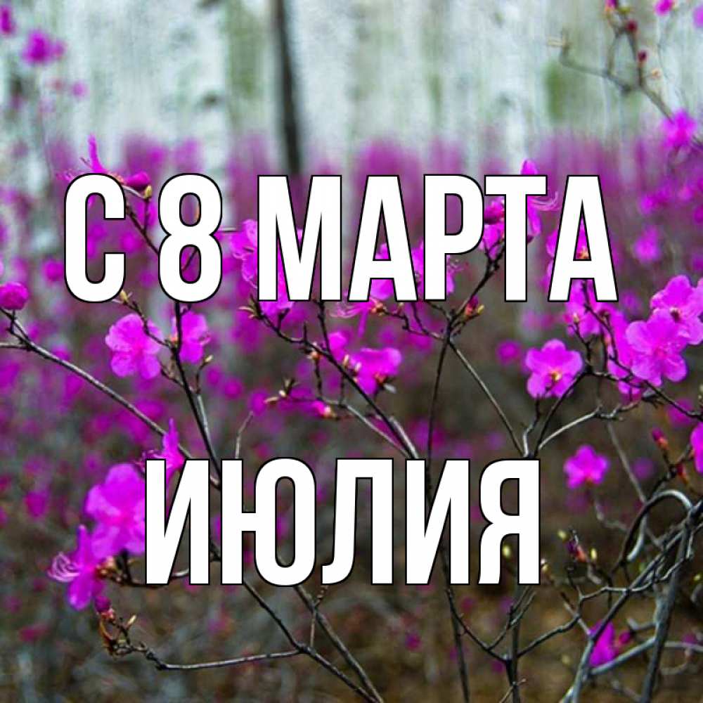 Открытка на каждый день с именем, Июлия С 8 МАРТА дикие цветы Прикольная открытка с пожеланием онлайн скачать бесплатно 