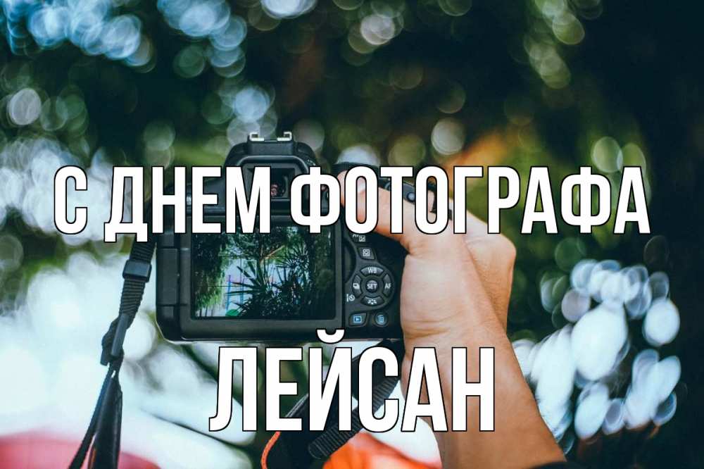 Открытка на каждый день с именем, Лейсан С днем фотографа с днем фотографа Прикольная открытка с пожеланием онлайн скачать бесплатно 