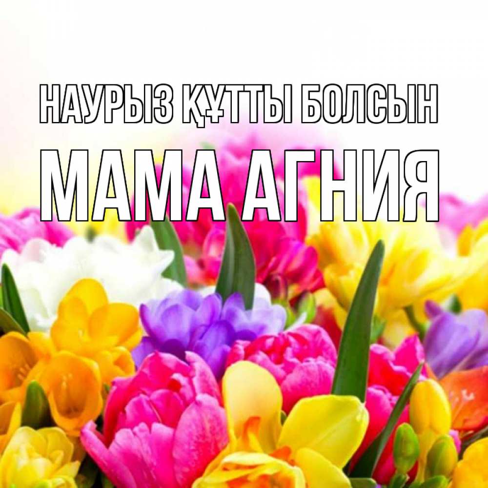 Открытка на каждый день с именем, Мама-Агния Наурыз құтты болсын тюльпаны Прикольная открытка с пожеланием онлайн скачать бесплатно 