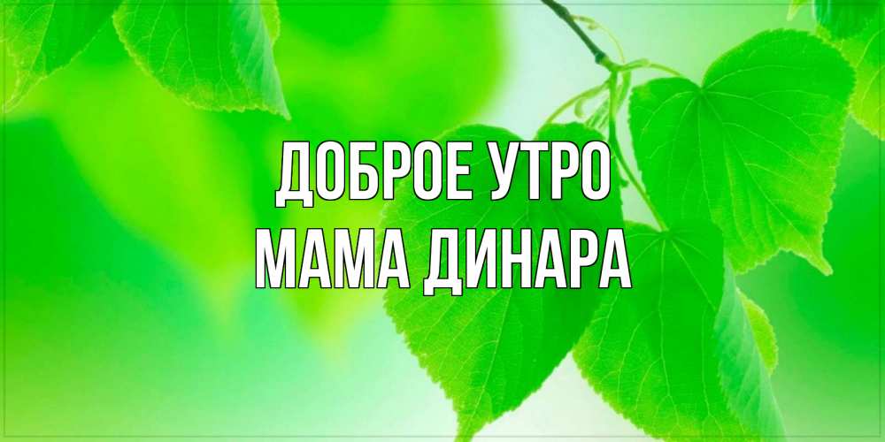 Открытка на каждый день с именем, Мама-Динара Доброе утро доброе утро с березовыми листьями Прикольная открытка с пожеланием онлайн скачать бесплатно 