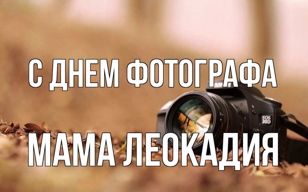 Открытка на каждый день с именем, Мама-Леокадия С днем фотографа с днем фотографа Прикольная открытка с пожеланием онлайн скачать бесплатно 
