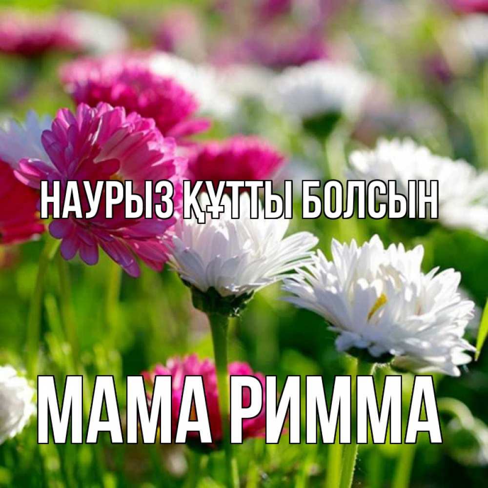 Открытка на каждый день с именем, Мама-Римма Наурыз құтты болсын наурыз Прикольная открытка с пожеланием онлайн скачать бесплатно 