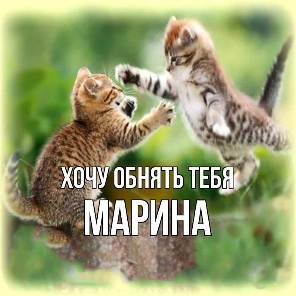Открытка на каждый день с именем, Марина Хочу обнять тебя игры котят Прикольная открытка с пожеланием онлайн скачать бесплатно 