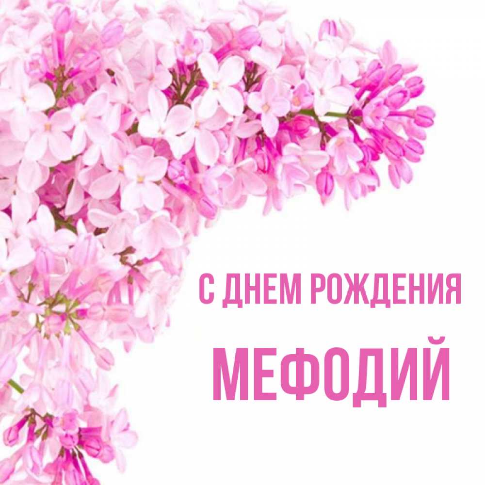 Открытка на каждый день с именем, Мефодий С днем рождения Сирень на белом фоне Прикольная открытка с пожеланием онлайн скачать бесплатно 