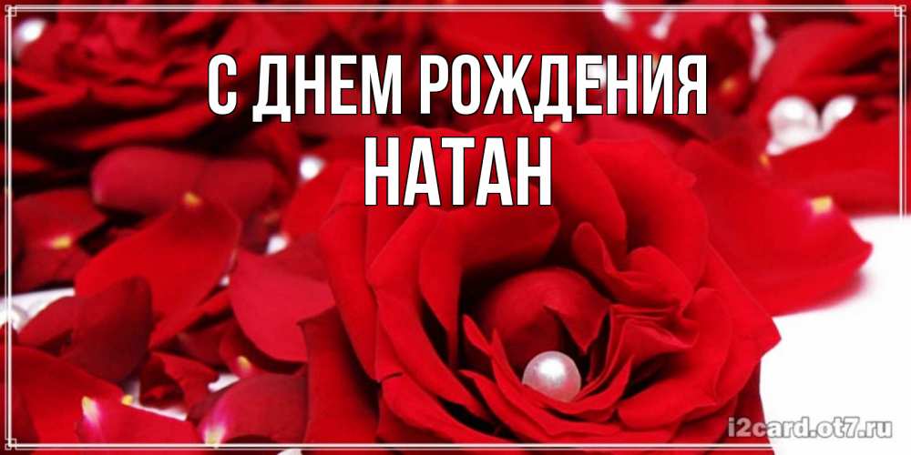 Открытка на каждый день с именем, Натан С днем рождения роза с жемчужиной на открытке для любимых Прикольная открытка с пожеланием онлайн скачать бесплатно 