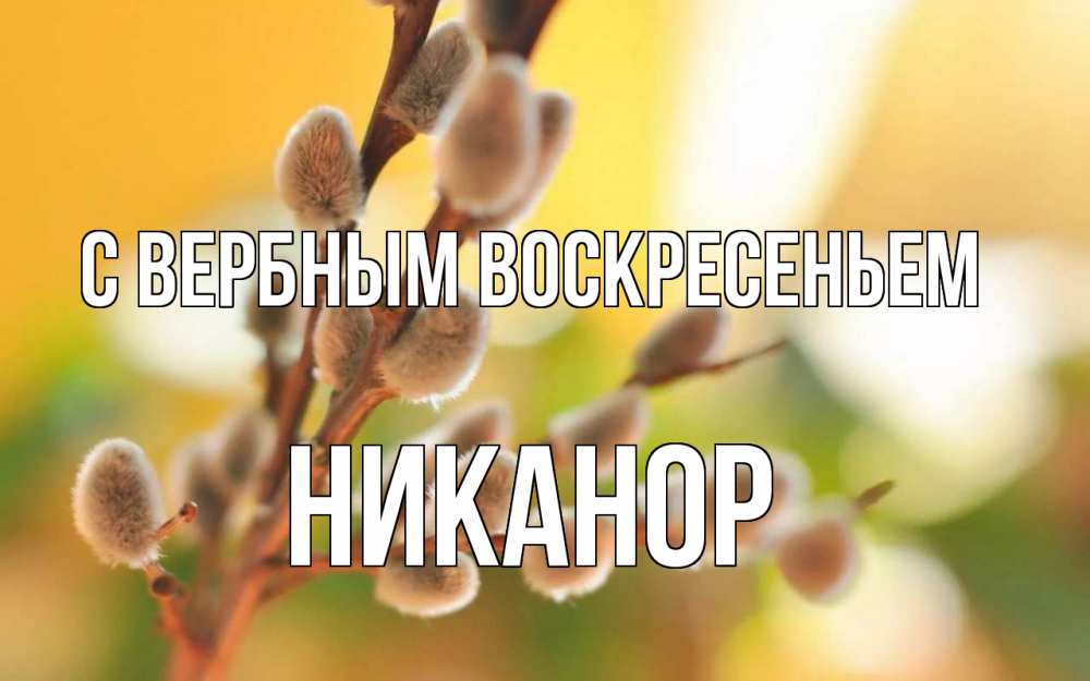 Открытка на каждый день с именем, Никанор С вербным воскресеньем верба Прикольная открытка с пожеланием онлайн скачать бесплатно 
