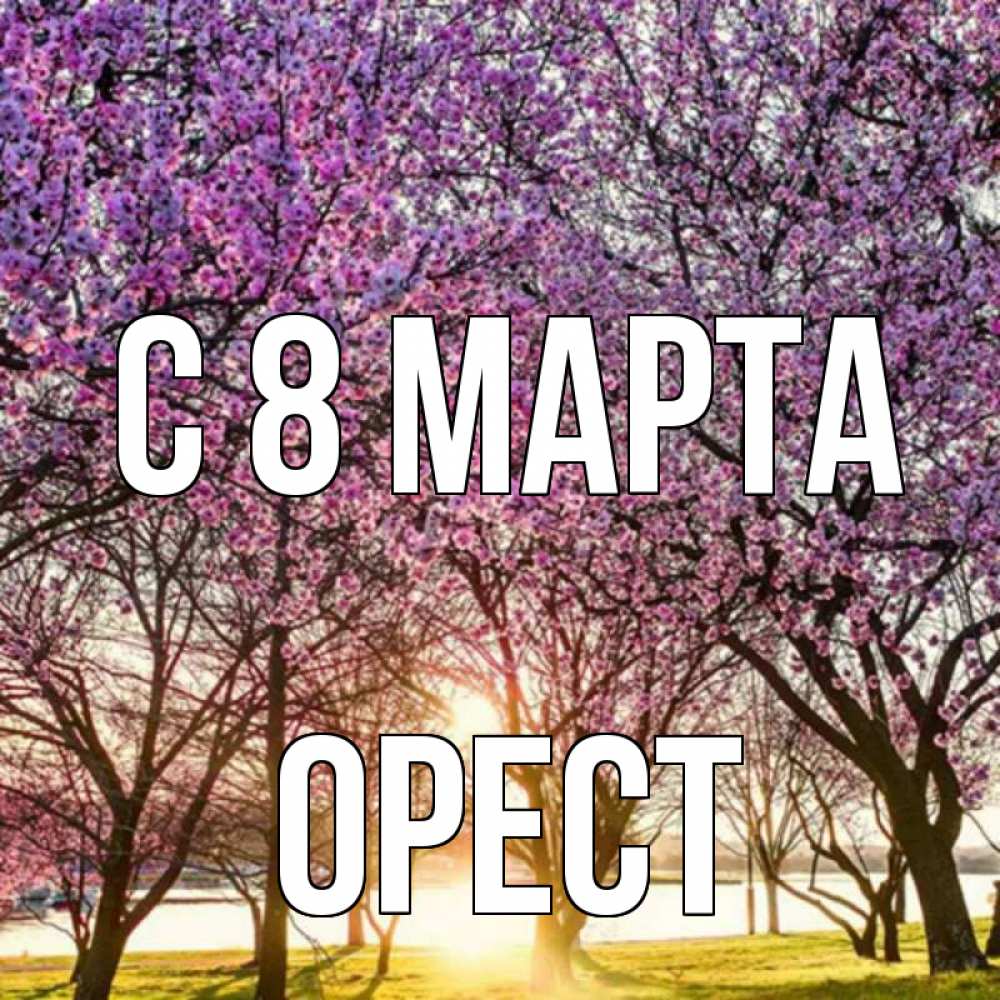 Открытка на каждый день с именем, Орест С 8 марта международный женский день Прикольная открытка с пожеланием онлайн скачать бесплатно 