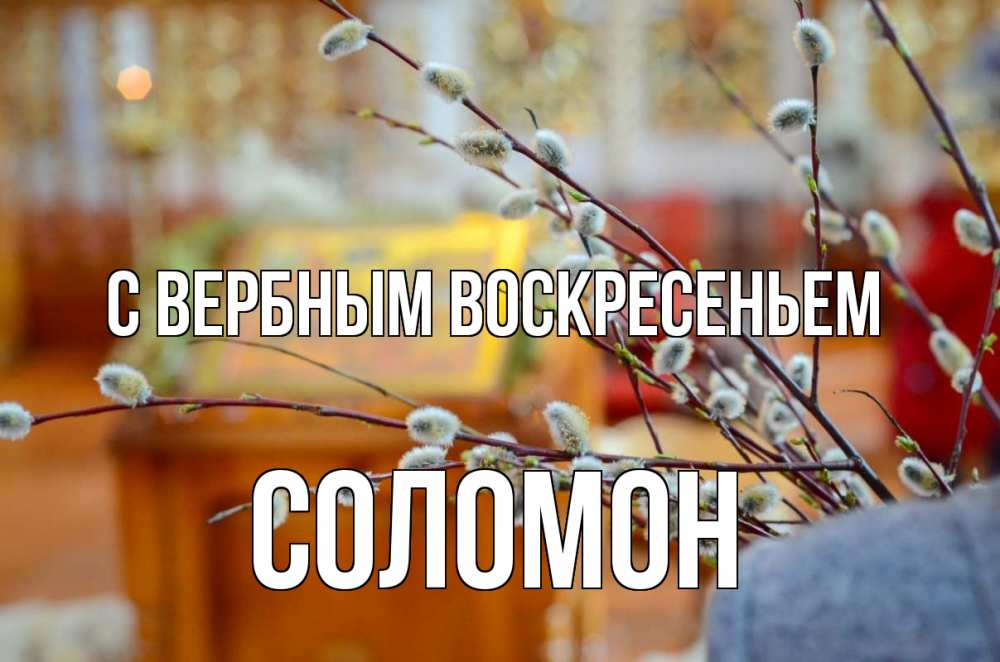 Открытка на каждый день с именем, Соломон С вербным воскресеньем верба Прикольная открытка с пожеланием онлайн скачать бесплатно 