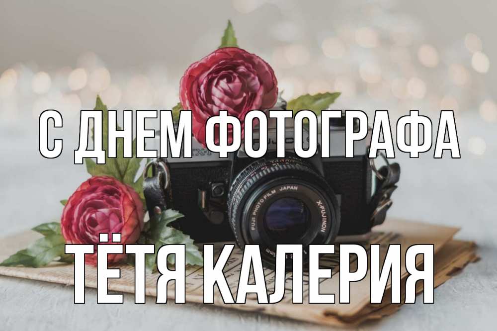 Открытка на каждый день с именем, Тётя-Калерия С днем фотографа с днем фотографа Прикольная открытка с пожеланием онлайн скачать бесплатно 