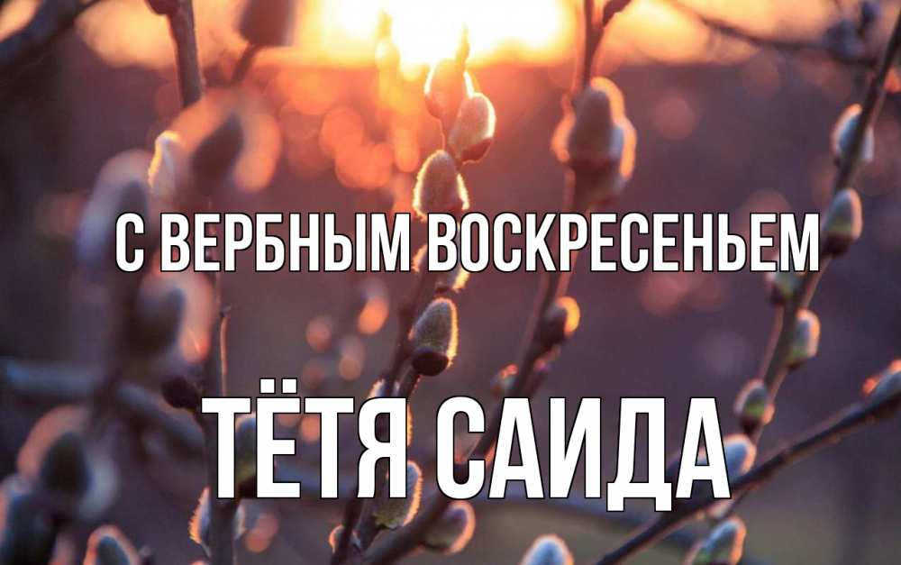 Открытка на каждый день с именем, Тётя-Саида С вербным воскресеньем верба Прикольная открытка с пожеланием онлайн скачать бесплатно 