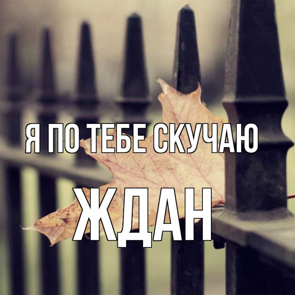 Открытка на каждый день с именем, Ждан Я по тебе скучаю очень скучно Прикольная открытка с пожеланием онлайн скачать бесплатно 
