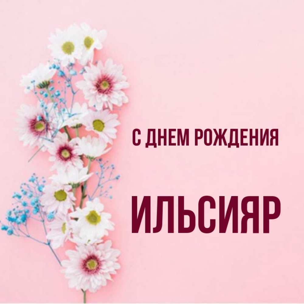 С днем рождения ильсияр картинки