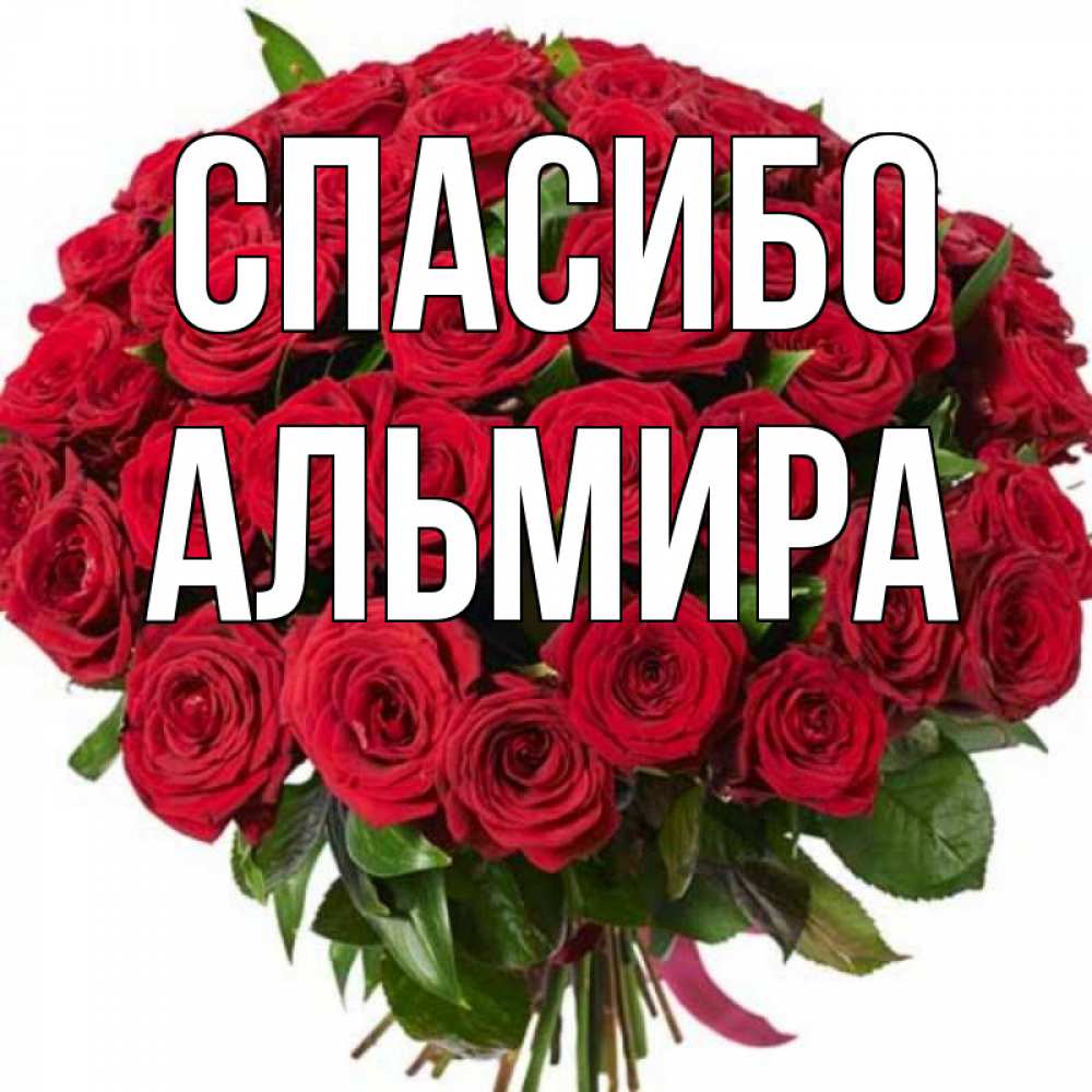 Альмира с днем рождения картинки