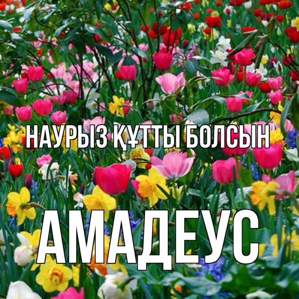 Открытка на каждый день с именем, Амадеус Наурыз құтты болсын с наурызом поздравления для женщины Прикольная открытка с пожеланием онлайн скачать бесплатно 