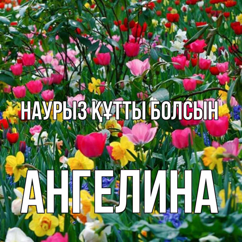 Открытка на каждый день с именем, Ангелина Наурыз құтты болсын с наурызом поздравления для женщины Прикольная открытка с пожеланием онлайн скачать бесплатно 