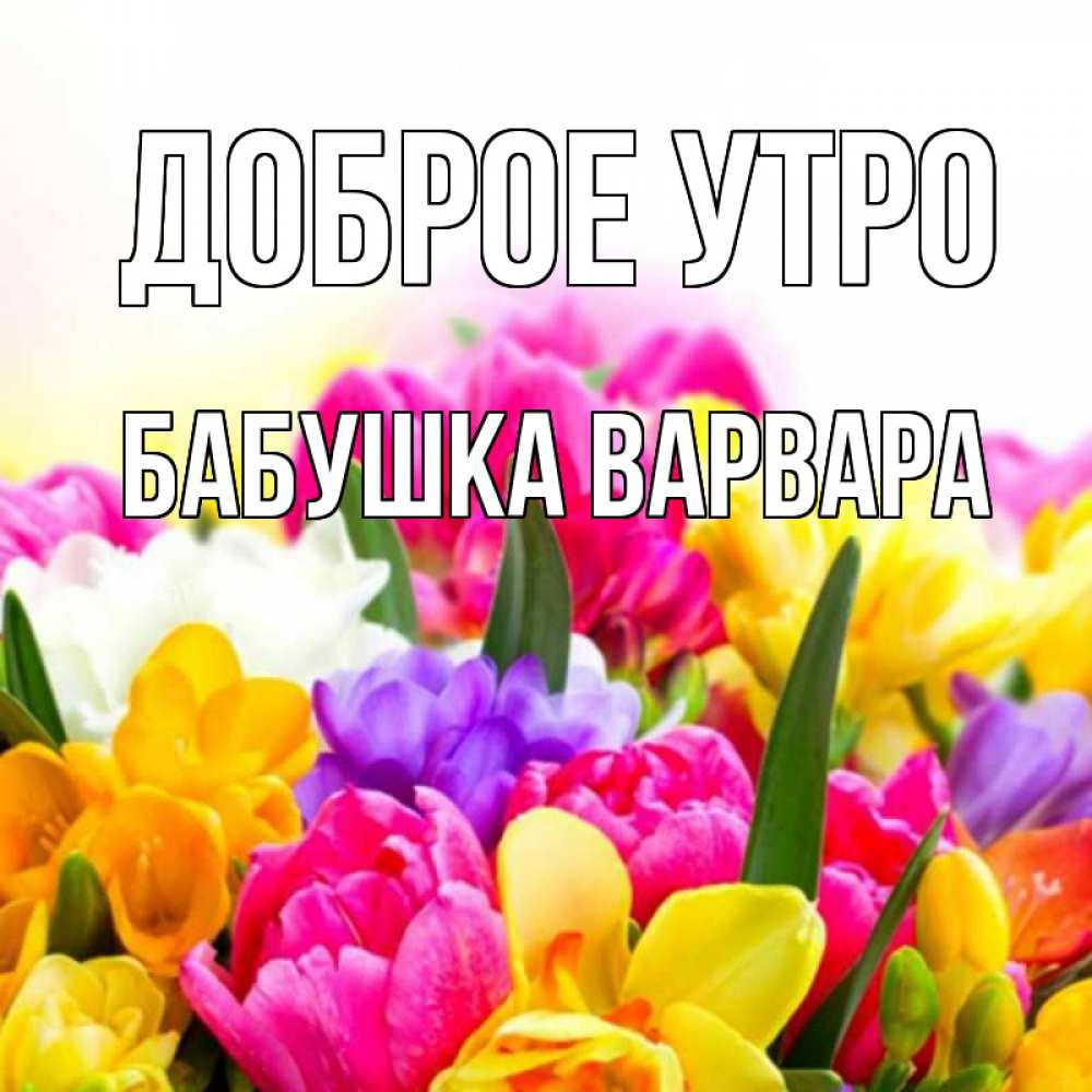 Открытка на каждый день с именем, Бабушка-Варвара Доброе утро создать открытку со свое подписью Прикольная открытка с пожеланием онлайн скачать бесплатно 
