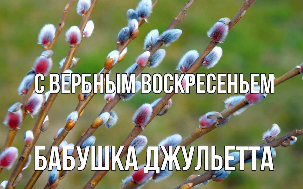 Открытка на каждый день с именем, Бабушка-Джульетта С вербным воскресеньем верба Прикольная открытка с пожеланием онлайн скачать бесплатно 