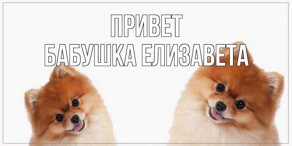 Открытка на каждый день с именем, Бабушка-Елизавета Привет привет Прикольная открытка с пожеланием онлайн скачать бесплатно 