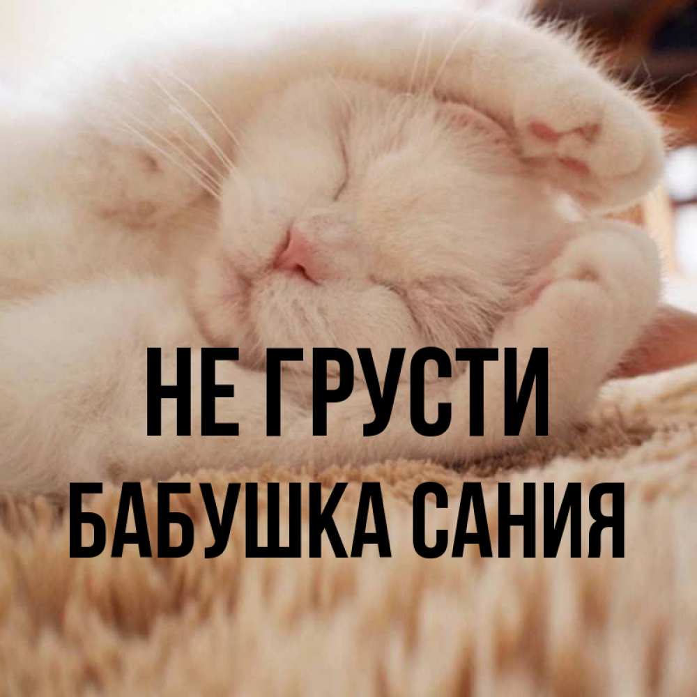 Открытка на каждый день с именем, Бабушка-Сания Не грусти Котенок спит Прикольная открытка с пожеланием онлайн скачать бесплатно 