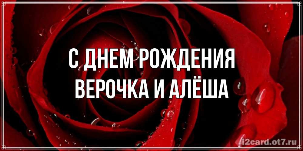 Открытка на каждый день с именем, Верочка-и-Алёша С днем рождения крупная бордовая роза Прикольная открытка с пожеланием онлайн скачать бесплатно 